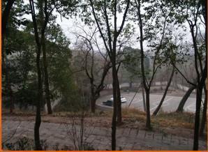 新都训练基地